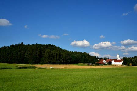 Nature blue green