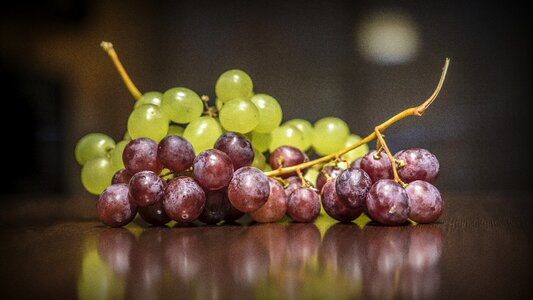 Food healthy wine