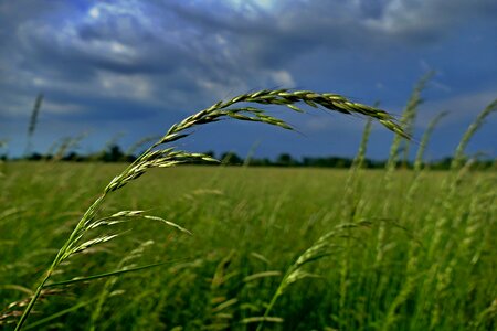 Obalky nature spring