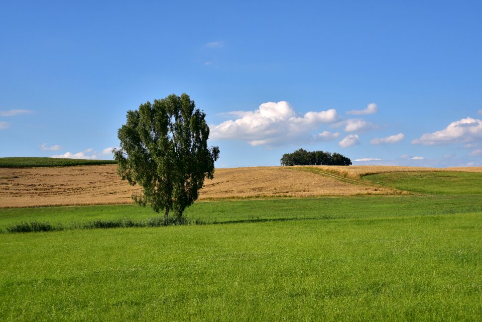 Nature scenic beautiful