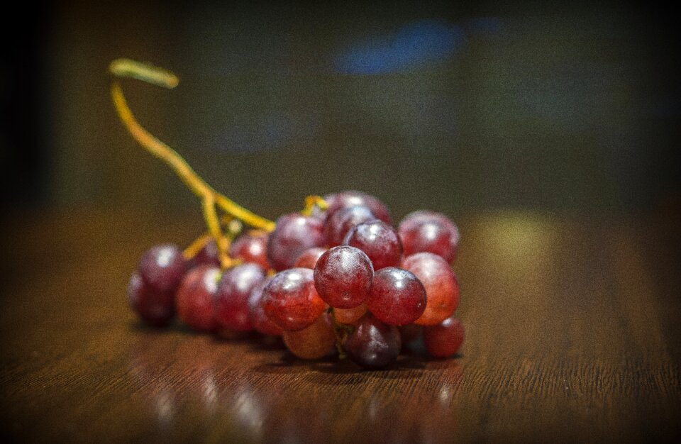 Wine food healthy