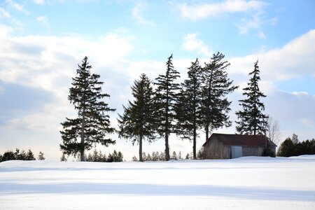 Canada barn winter