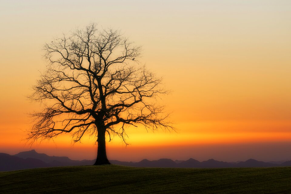 Twilight nature atmosphere