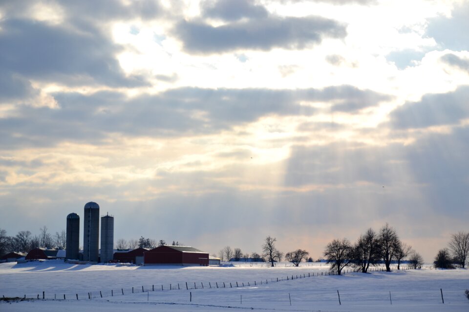 Farm snow winter