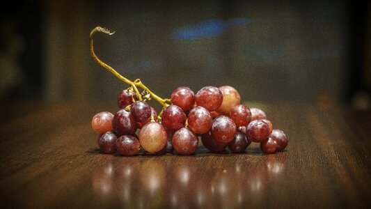 Wine vineyard food