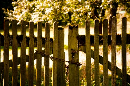 Rusted garden fence nature photo