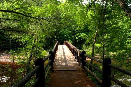 Foot bridge nature outdoors