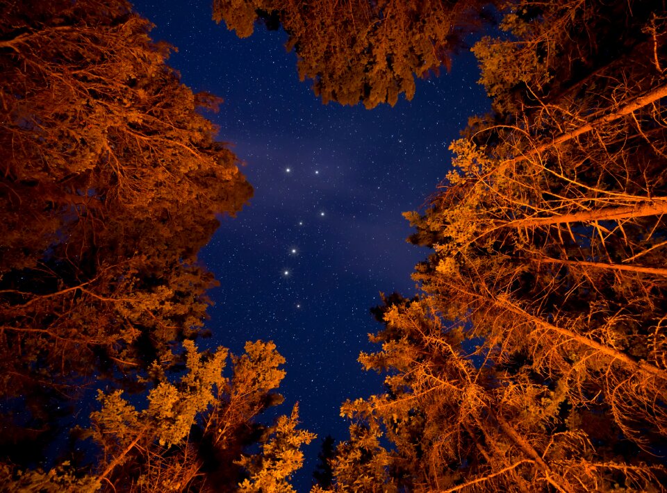 Kamloops landscape milky