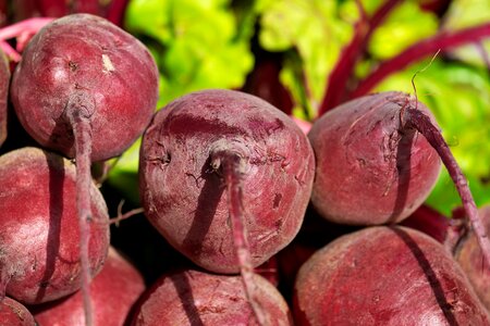 Vitamins turnip red