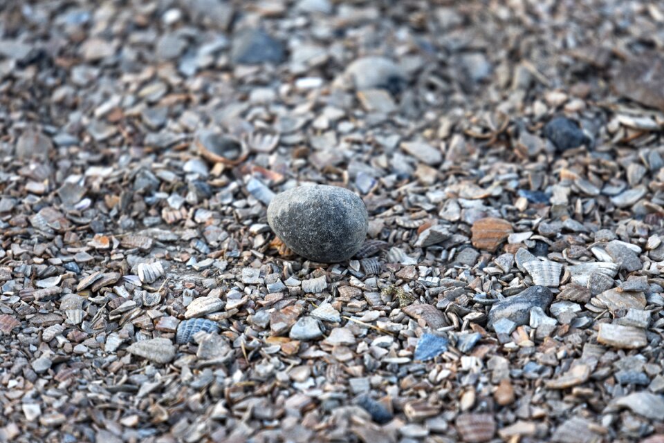 Surface covering footpath