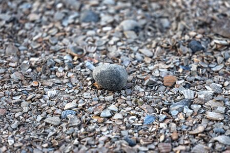 Surface covering footpath