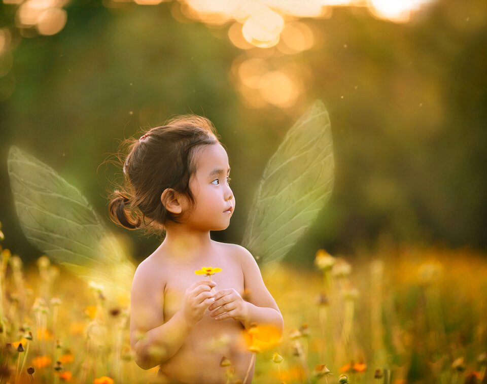 Angel elf small yellow flowers