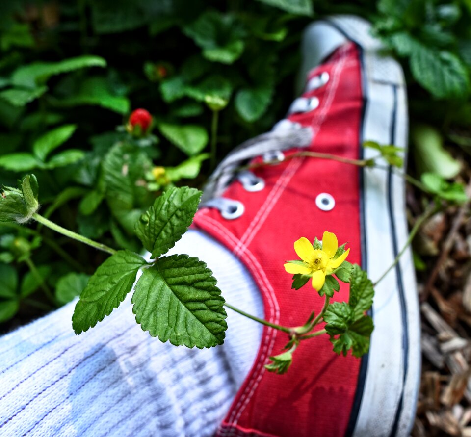 Sock person female