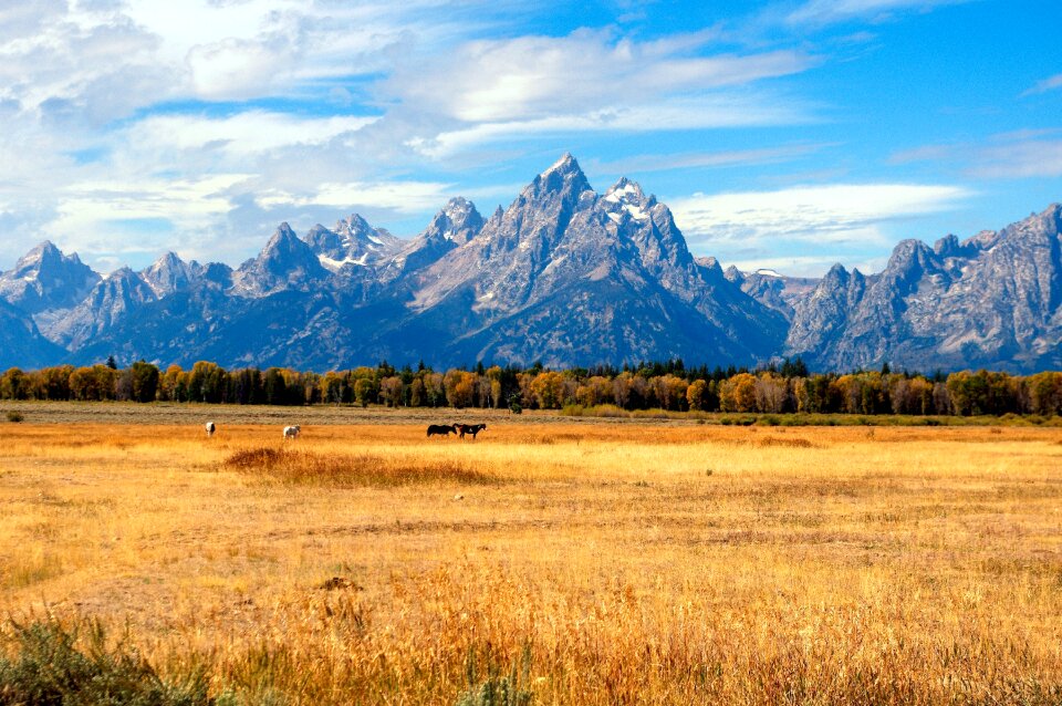 Grand teton national