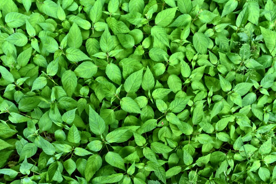 Texture background backdrop