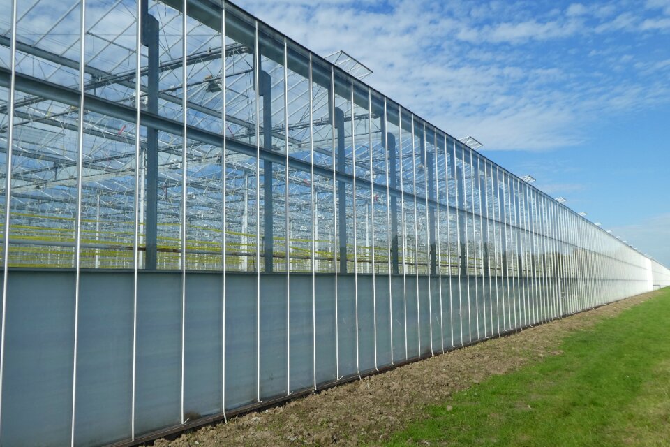 Environment agriculture landscaping