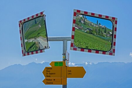 Directory wall guide vineyards