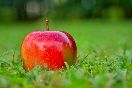 Vitamins healthy apple variety