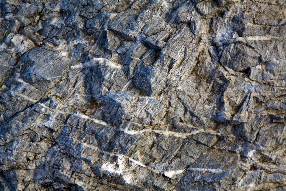 Nature wall texture