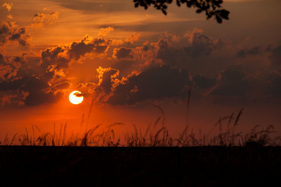 Dusk nature landscape photo