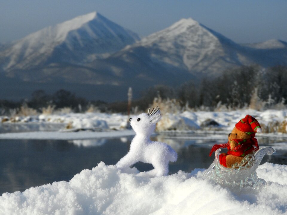 Toys deer bear