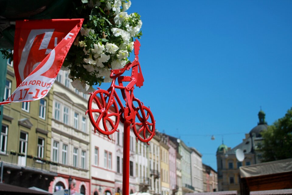 Flowers ukraine lviv