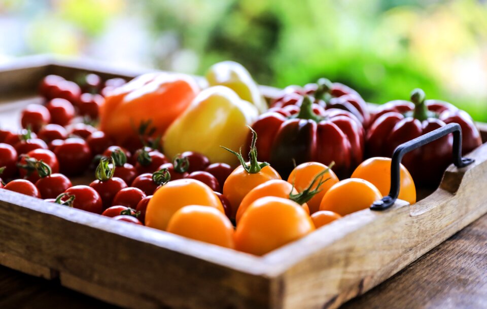 Garden food healthy