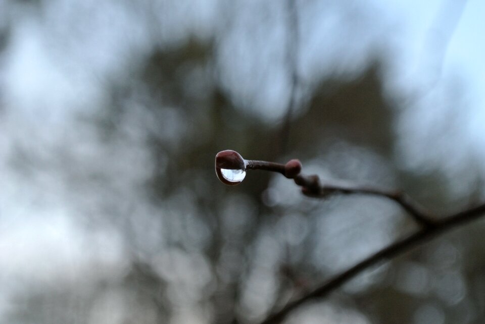 Water nature drip