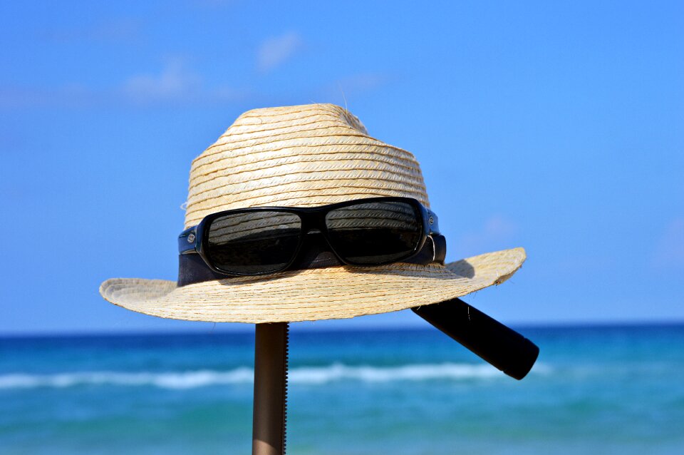 Summer straw hat coneflower