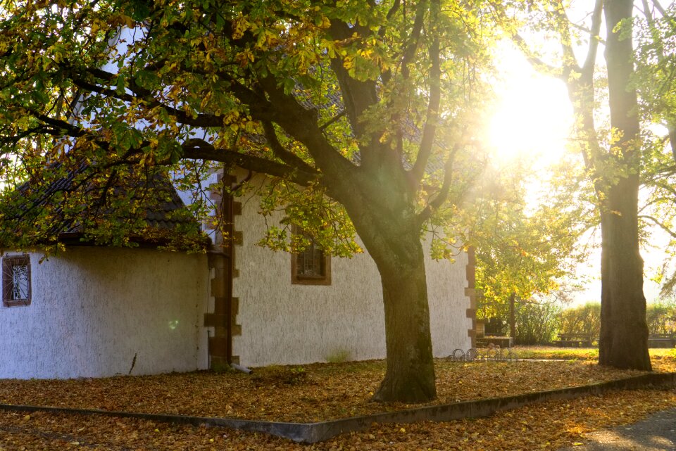 Sun sunbeam faith
