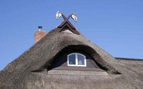 Thatched cottage reed roof reed photo