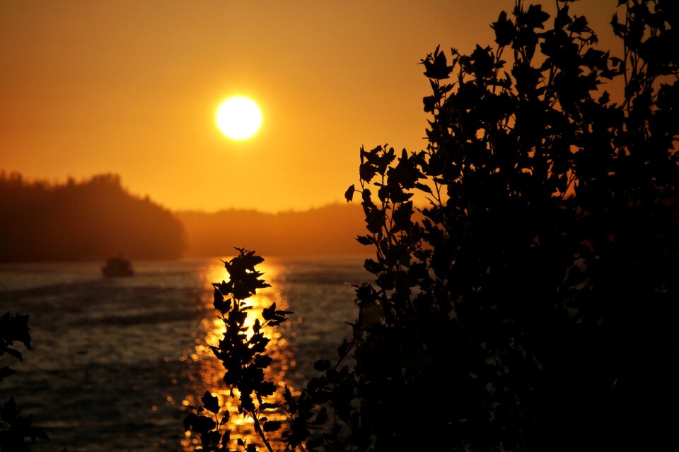 Water dusk nature