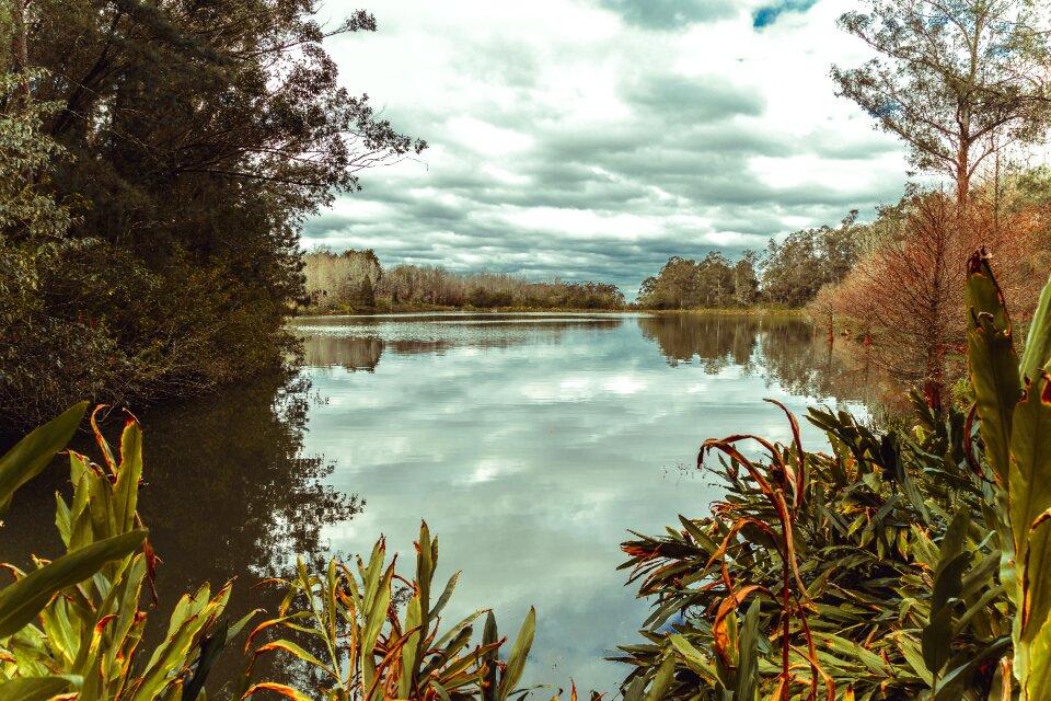 Landscape green tropical