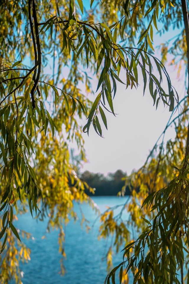 Landscape water summer