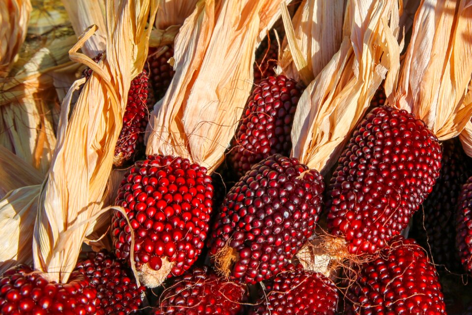 Harvest autumn market stall