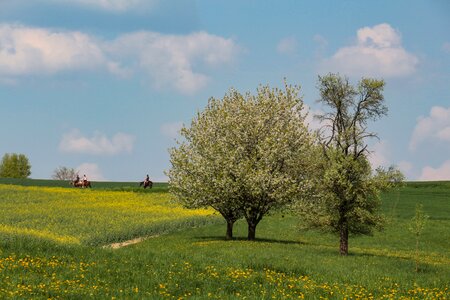 Field agriculture reiter