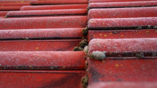 Bemoost roofing red photo