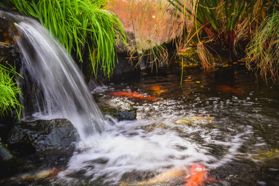 Waterfall creek nature