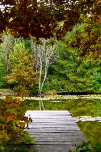 Waldsee autumn web photo