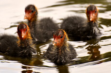 Group together waters