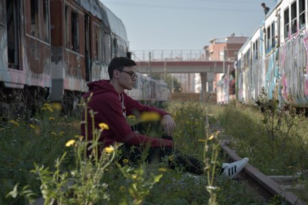 Only trains vegetation