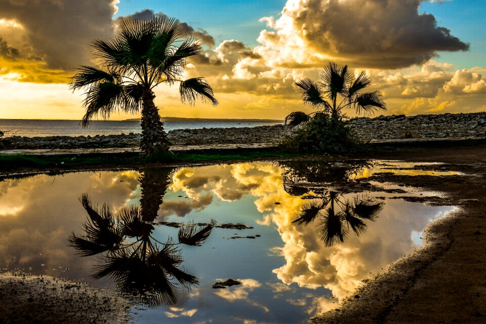 Horizon seashore sunset