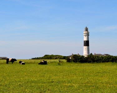 Daymark island summer photo