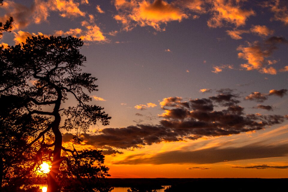 Nature no one sky