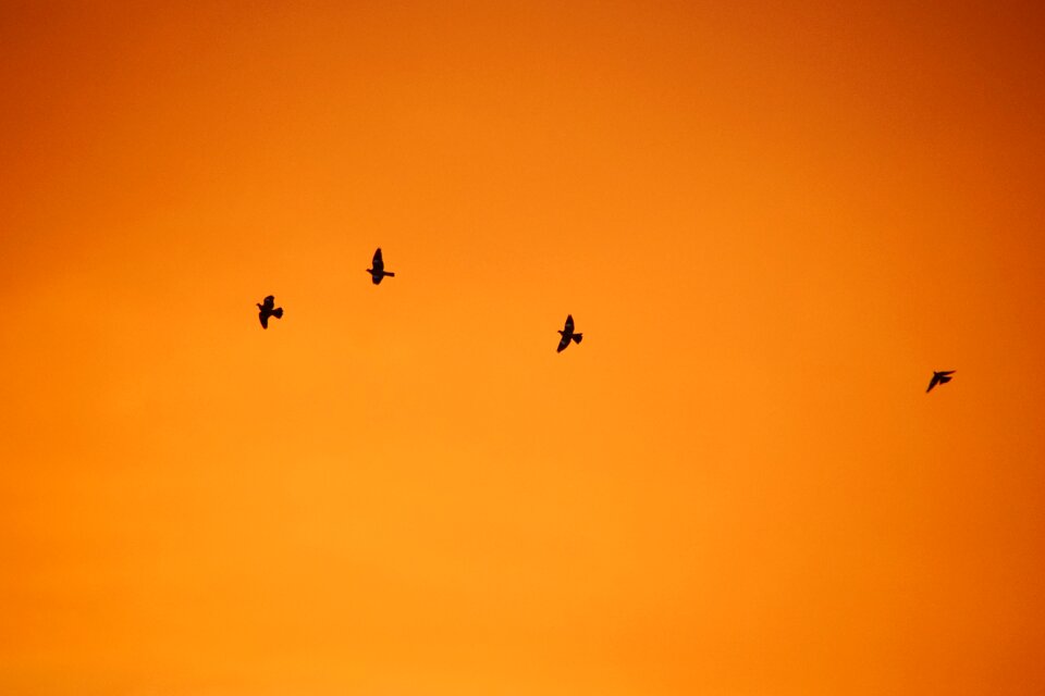 The sun nature twilight