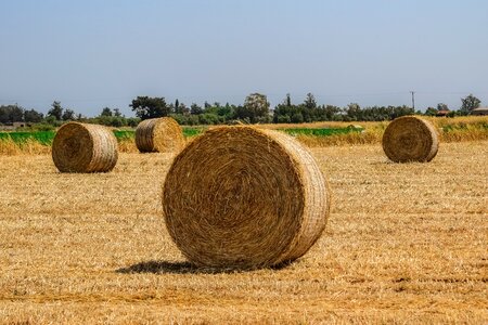 Agriculture rural countryside photo