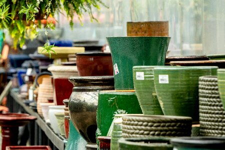 Garden green potted