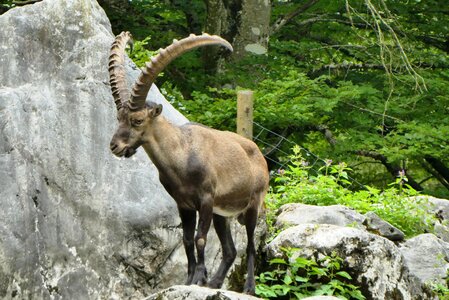 Austria almtal salzkammergut