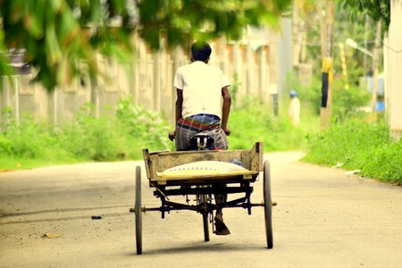 Wheel green chariot