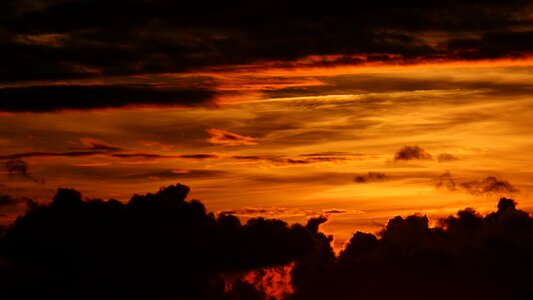Sunset twilight field